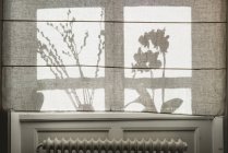 Silhouettes of plants behind curtain — Stock Photo