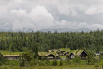 Casas com grama em telhados por floresta — Fotografia de Stock