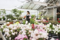 Blumenhändler geht in Blumenladen — Stockfoto
