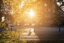 Sole splendente tra le foglie con ciclista irriconoscibile che cavalca per strada a Malmo, Svezia — Foto stock