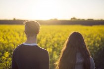 Мужчина и женщина смотрят на поле канолы — стоковое фото