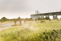Ciclistas montando en carretera rural - foto de stock