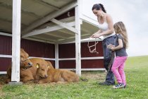 Madre con hija (4-5) mirando a la vaca con ternera - foto de stock