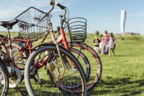 Biciclette su erba e famiglia a piedi sullo sfondo — Foto stock