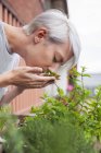 Woman smelling fresh herbs on balcony — Stock Photo