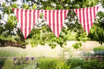 Bunting flags in garden against plants — Stock Photo