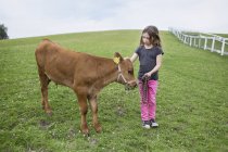 Girl (4-5) standing next to calf — Stock Photo