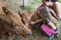 Madre con figlia (4-5) vitello accarezzando — Foto stock