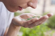 Женщина нюхает свежие травы, крупным планом — стоковое фото
