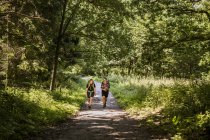 Женщины, гуляющие в лесу днем — стоковое фото