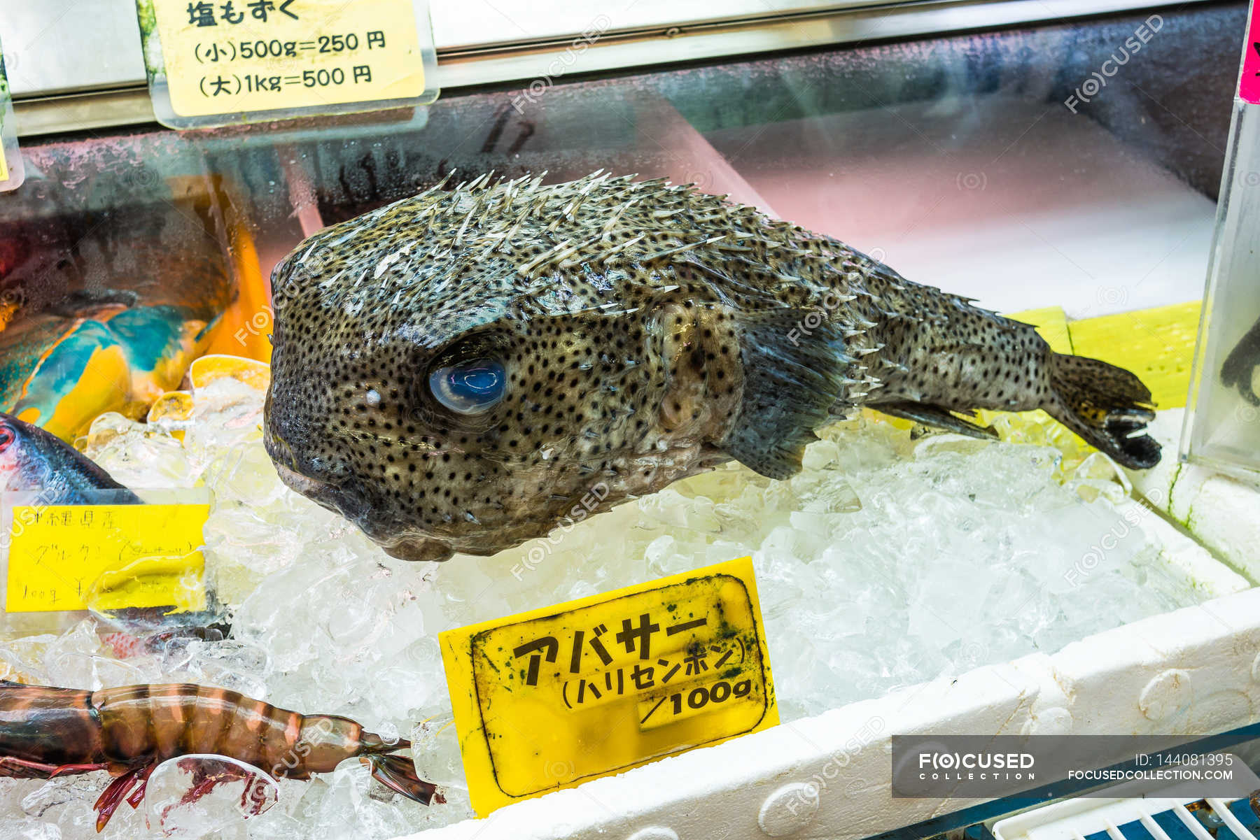 Fish at fish market in naha culture horizontal stock photo