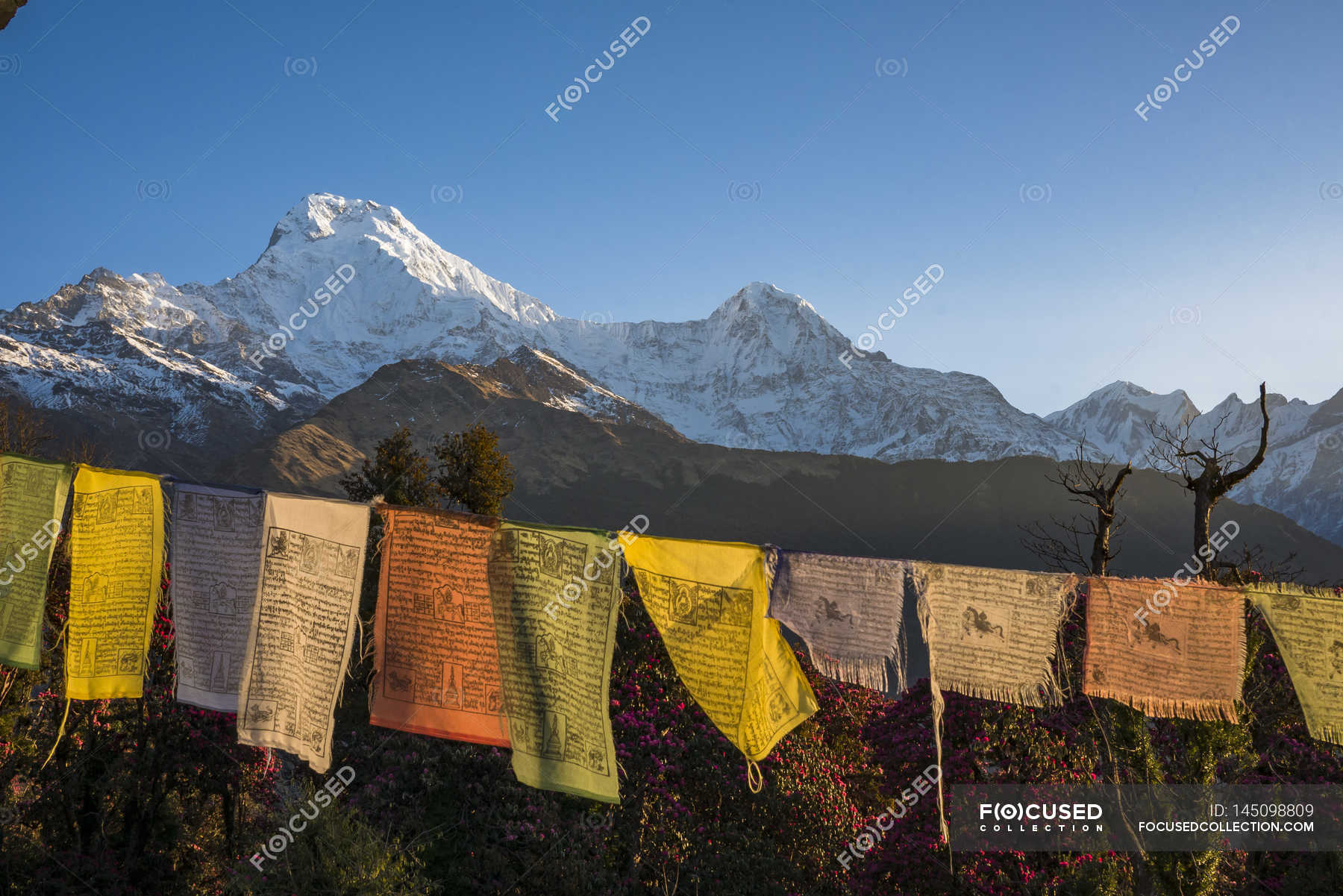 Bandiere di preghiera tibetane — copia spazio, appeso - Stock Photo