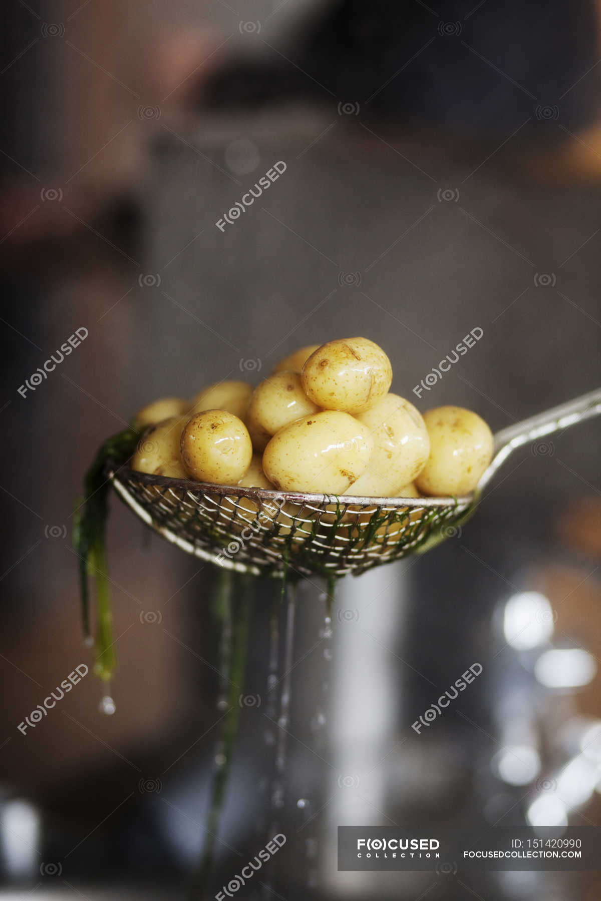 colander restaurant