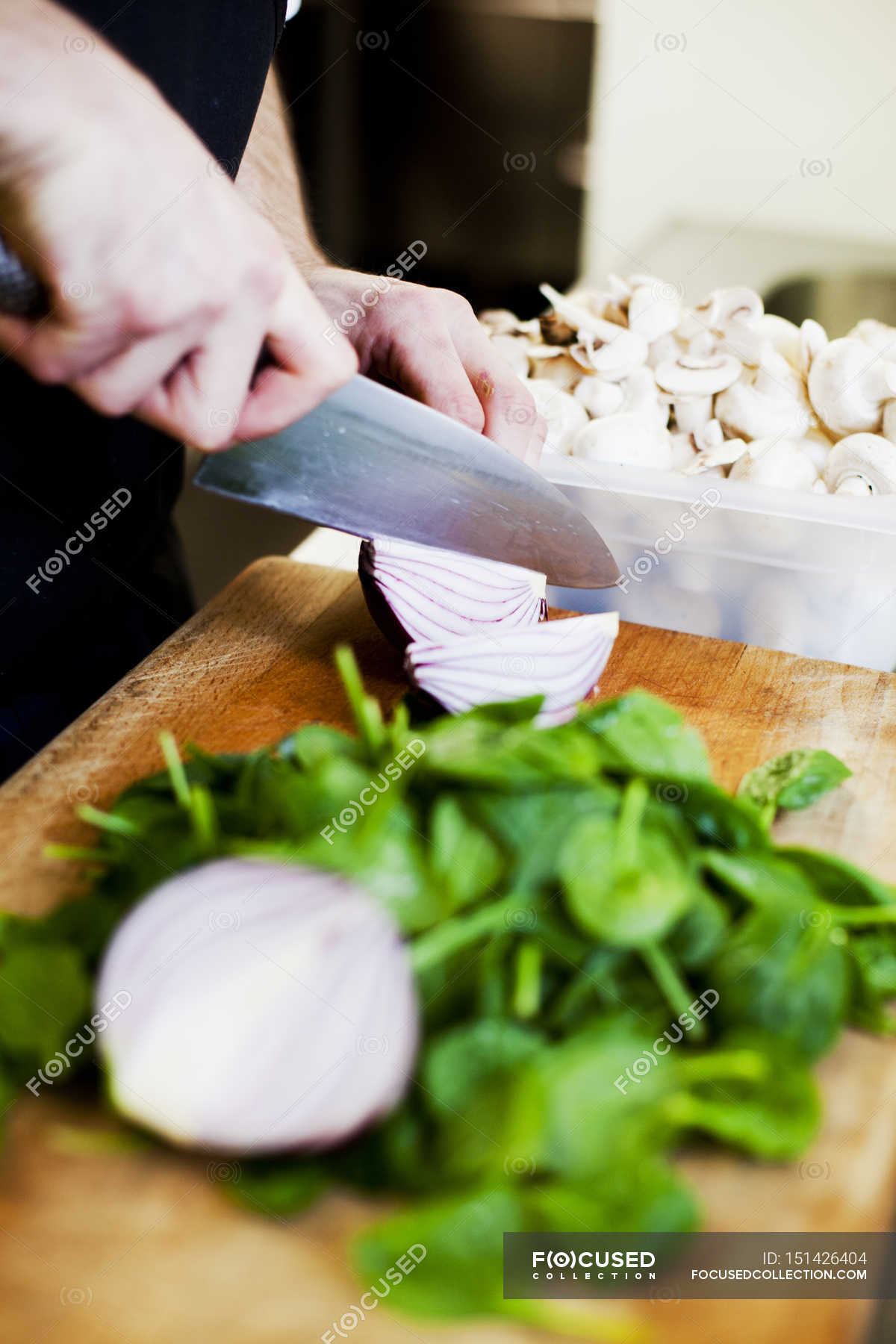 Focused 151426404 Stock Photo Chef Cutting Onion 