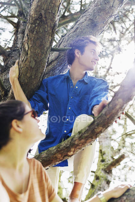Menschen klettern auf Baum — Stockfoto