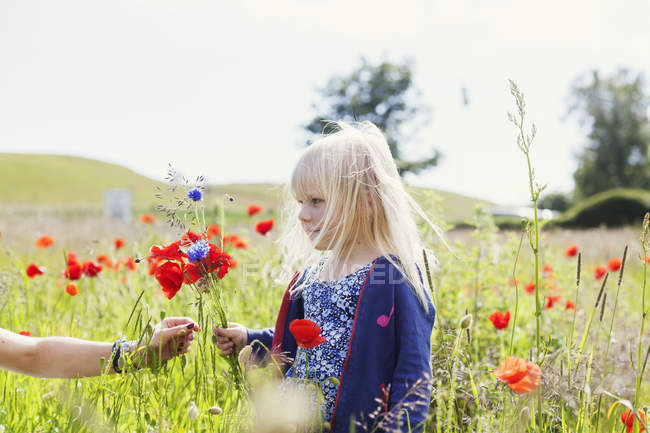 Womans hand giving wildflowers to girl — Stock Photo