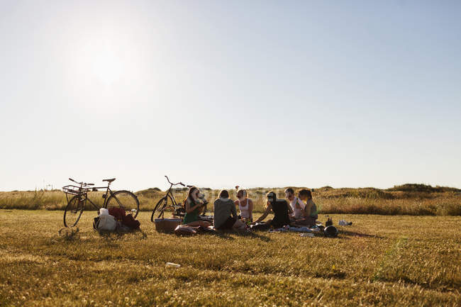 Amici che si rilassano al picnic — Foto stock