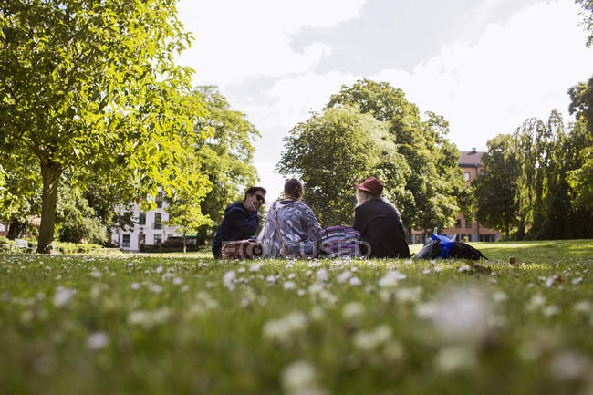 Freelancers discutindo enquanto sentado no parque — Fotografia de Stock