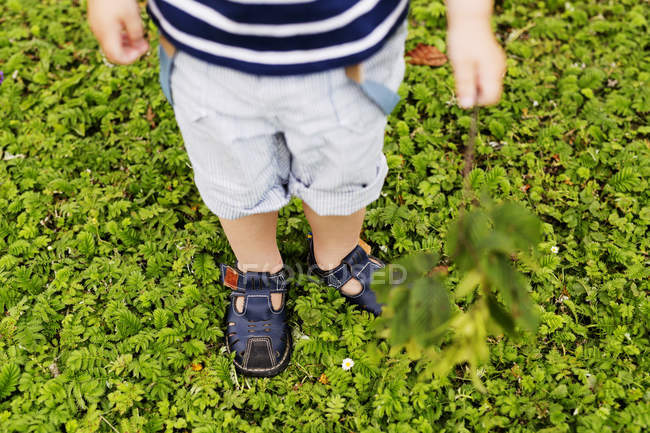 Menino de pé no campo coberto de plantas — Fotografia de Stock