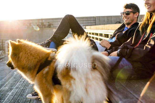 Casal com cão relaxante — Fotografia de Stock