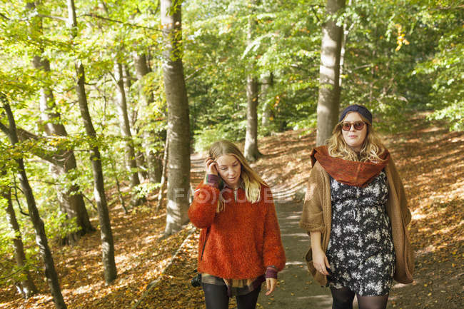 Mujeres jóvenes caminando en el bosque - foto de stock