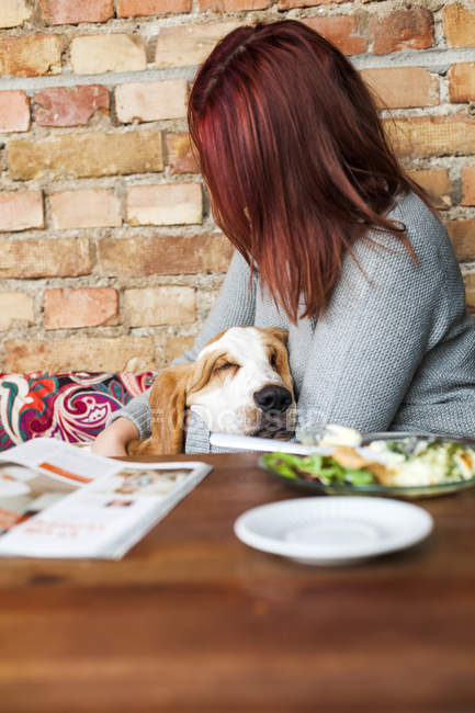 Junge Frau mit Basset-Hund — Stockfoto