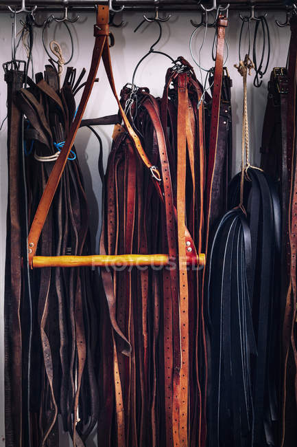 Leather belts hanging on hooks — Stock Photo