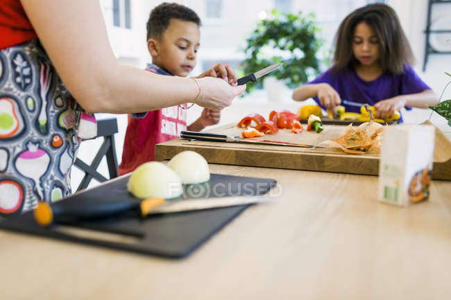 Mutter mit Kindern kocht in Küche — Stockfoto