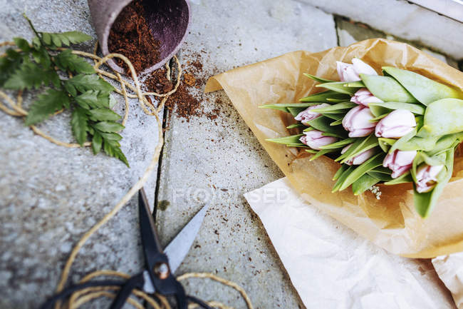 Tulip bouquet with scissors and pot on concrete floor — Stock Photo
