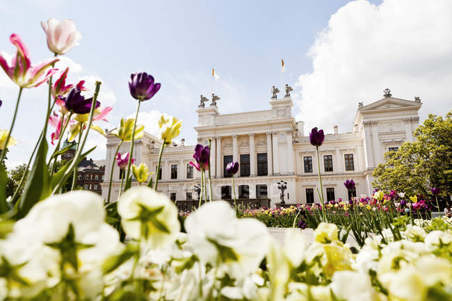 Университет Лунда с садом тюльпанов — стоковое фото