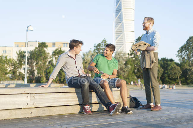 Friends at retaining wall in park — Stock Photo