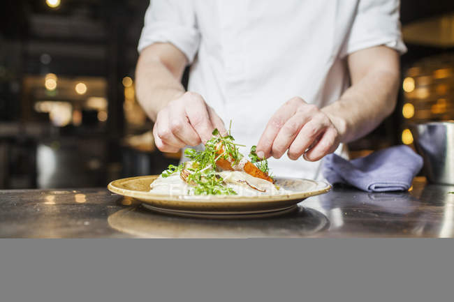 Chef garnishing food in plate — Stock Photo