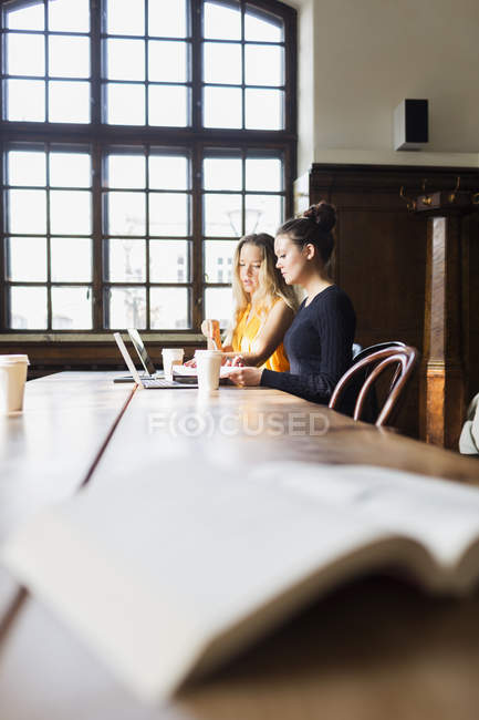 Young friends using laptops — Stock Photo