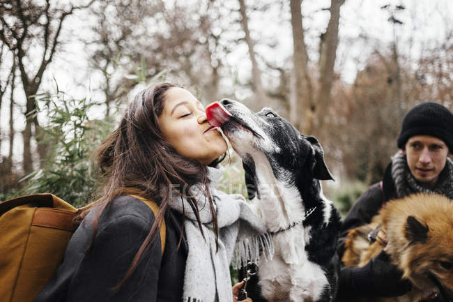 Mischlingshund leckt Frau — Stockfoto