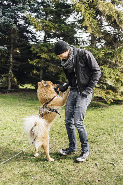 Young man playing with Eurasier — Stock Photo