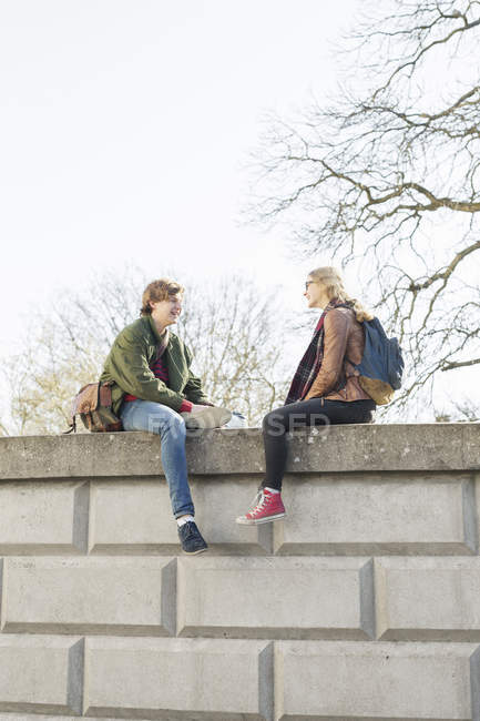 Smiling college friends — Stock Photo