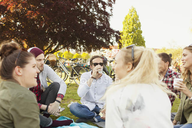 Amigos desfrutando de piquenique no parque — Fotografia de Stock