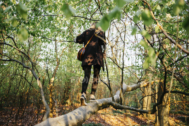 Mulher andando na árvore caída — Fotografia de Stock
