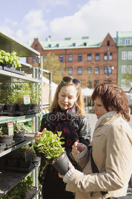 Amici di sesso femminile acquistare piante — Foto stock