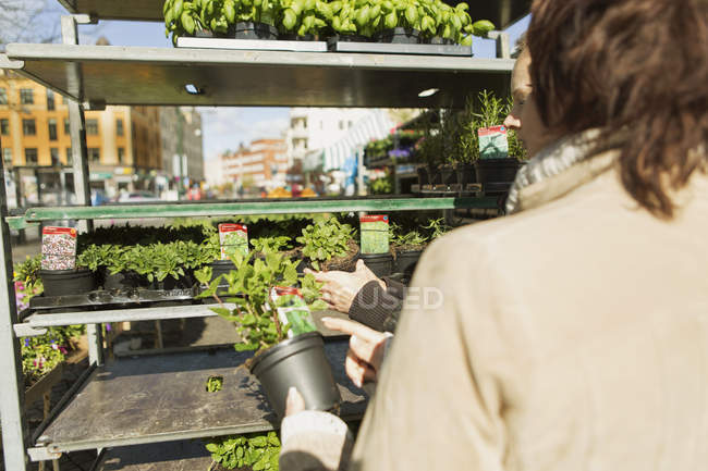 Mature female friends purchasing plants — Stock Photo