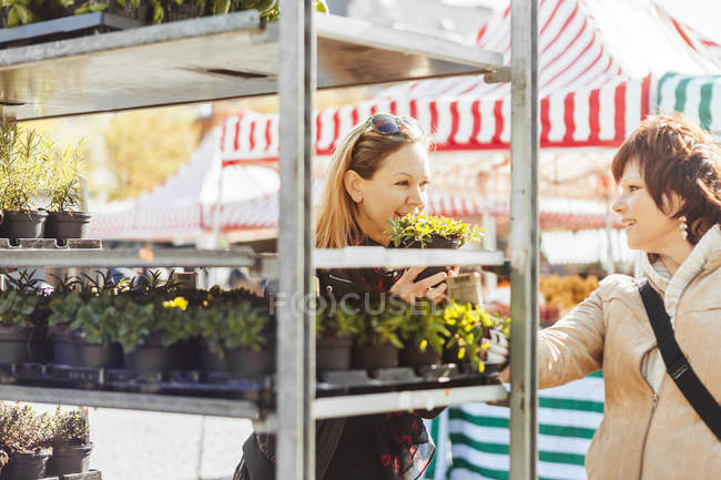 Жінки-друзі купують рослини — стокове фото