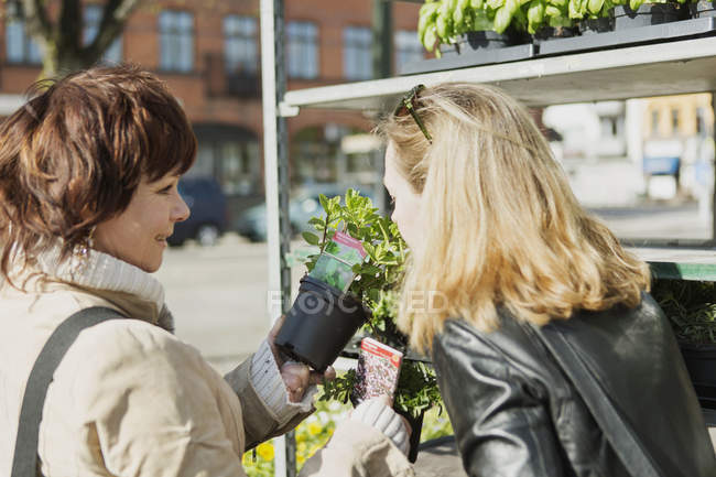 Amigos femininos comprando plantas — Fotografia de Stock
