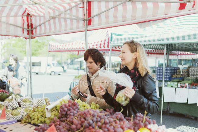 Les femmes qui achètent des raisins — Photo de stock