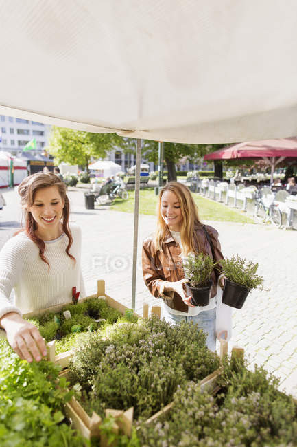 Female friends buying plants — Stock Photo