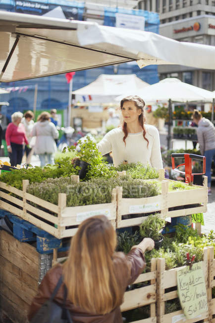 Women shopping potted plants — Stock Photo