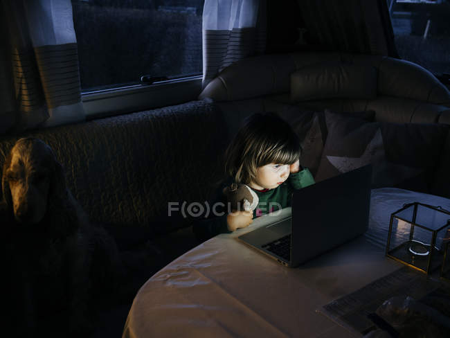 Девушка смотрит на ноутбук — стоковое фото