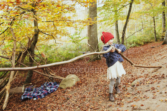Chica llevando árbol en el bosque - foto de stock