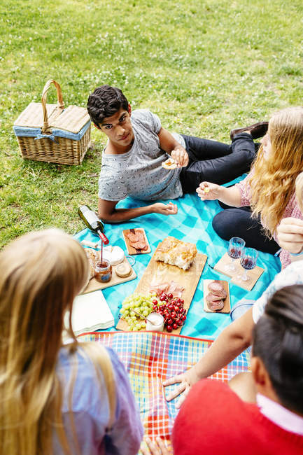 Friends enjoying picnic at park — Stock Photo