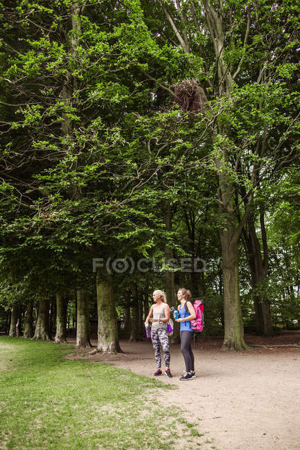 Жінки стоять у парку — стокове фото