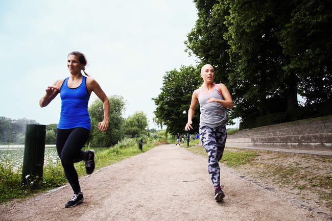 Mujeres deportivas corriendo por el sendero - foto de stock
